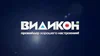 Видикон